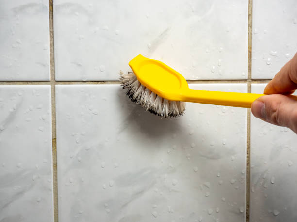 Best Mold Removal Company Near Me  in Barclay, NJ