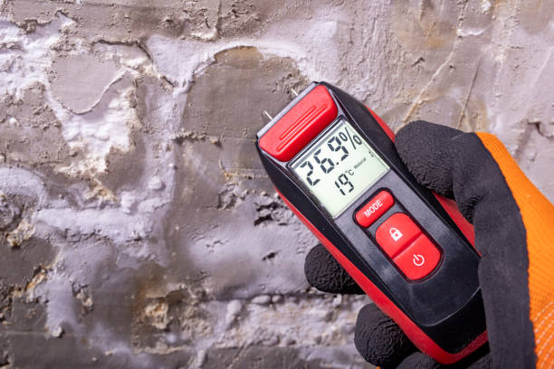 Best Same-Day Mold Removal  in Barclay, NJ