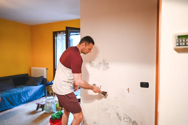 Best Mold Remediation  in Barclay, NJ